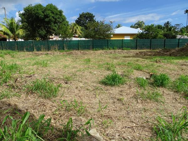 Immobilier Petit-Bourg (97170) – Terrain 1000m2 – 150 500 €