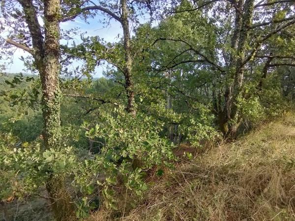 Terrain
        
        - 1730 m² Exclusivité 8 900 € *