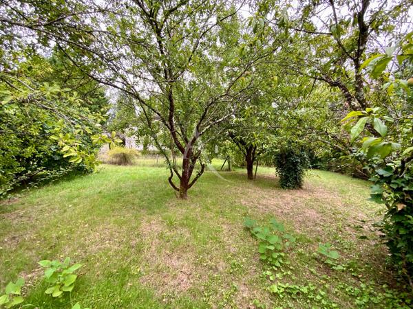 Maison Jonzac 3 pièce(s) 68 m2