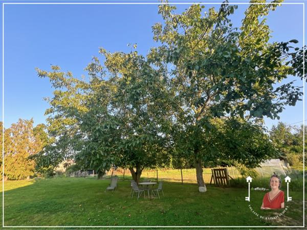 Maison 5 pièces - 170 m² Exclusivité efficity