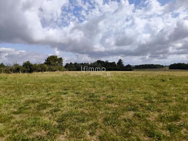 Chai de 230 m2 à rénover sur une parcelle de plus de 2 500m2