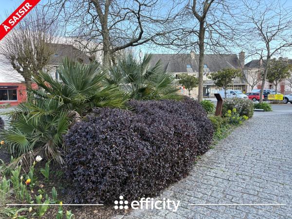 Appartement 3 pièces - 78 m² Exclusivité efficity