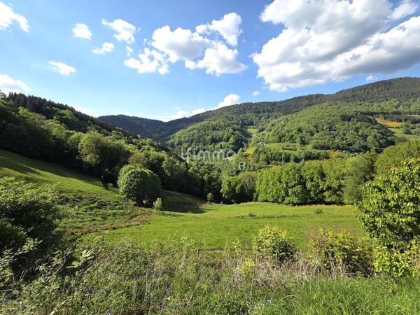 Ferme partiellement rénovée – 338m² -145,66ares – Cadre rare