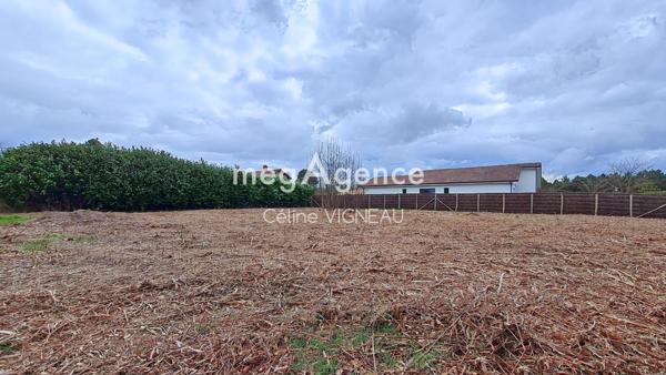 Terrain à RION-DES-LANDES, 40370 - 1000m²