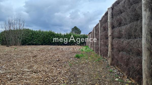 Terrain à RION-DES-LANDES, 40370 - 1000m²