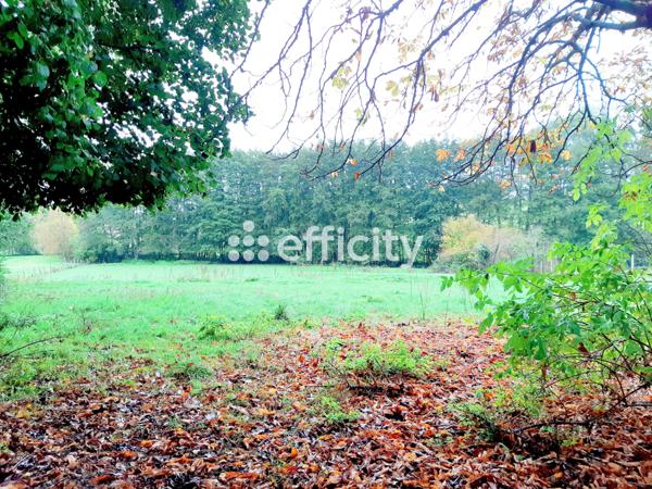 Maison 4 pièces - 99 m²