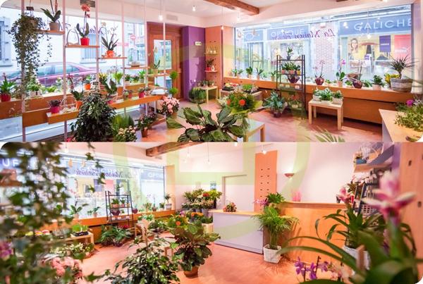 Immeuble à GIVET (08600)