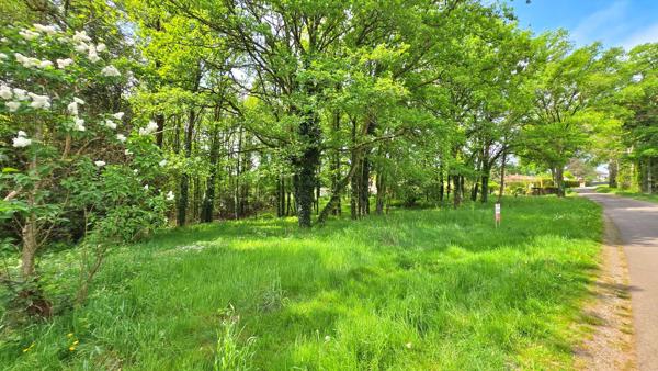Terrain 6 365,00 m² SAINT JUNIEN (87) - Environnement campagne