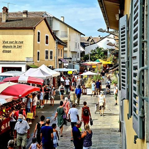 Vente Immeuble317 m² - 12 Pièces - DIVONNE LES BAINS (1220)