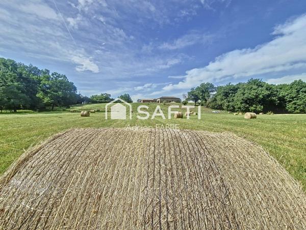 À VENDRE – CHÂTEAU DU XIXe SIÈCLE – 448 m²  avec un parc de 7 hectares  aux portes de Toulouse