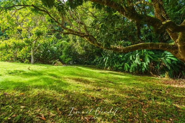 TERRAIN À VENDRE – 887 m² – PETIT-BOURG (VERNOU)