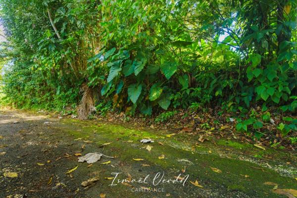 TERRAIN À VENDRE – 887 m² – PETIT-BOURG (VERNOU)