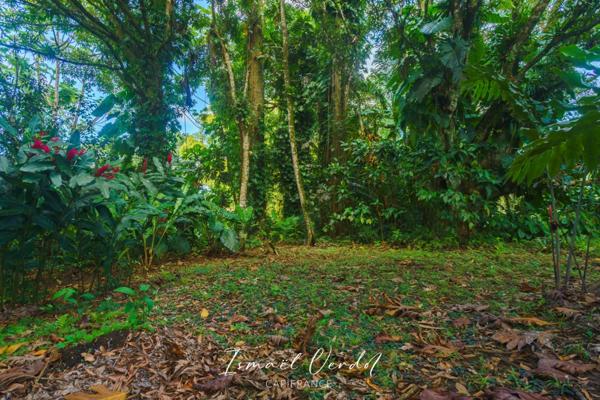 TERRAIN À VENDRE – 887 m² – PETIT-BOURG (VERNOU)