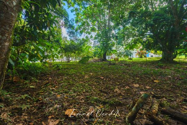 TERRAIN À VENDRE – 887 m² – PETIT-BOURG (VERNOU)