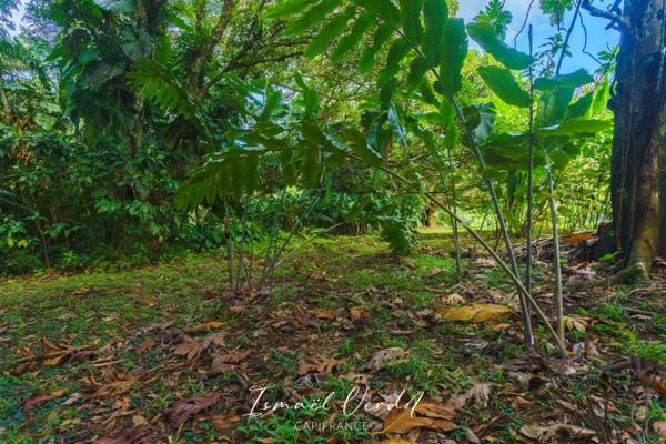 TERRAIN À VENDRE – 887 m² – PETIT-BOURG (VERNOU)