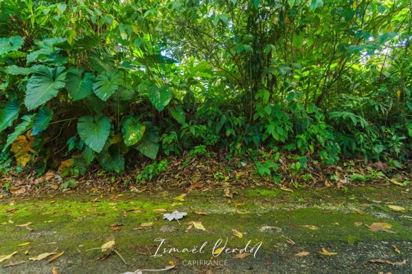 TERRAIN À VENDRE – 887 m² – PETIT-BOURG (VERNOU)