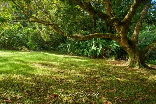 TERRAIN À VENDRE – 887 m² – PETIT-BOURG (VERNOU)