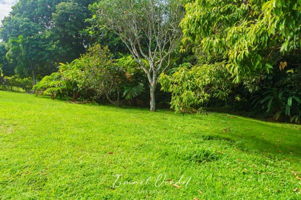 TERRAIN À VENDRE – 887 m² – PETIT-BOURG (VERNOU)