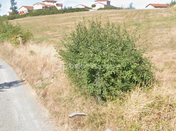 Romain VIALLON Immobilier vous propose en exclusivité une belle opportunité de création de lotissement sur Sainte-Colombe-Sur-Gang, une parcelle de plus de 10 000m2 idéalement située, sur le haut du village, viabilités en bordure, environnement calme et résidentiel. Vue dégagée
8/10 maisons possible.

Ne TARDEZ PAS.... Contactez moi