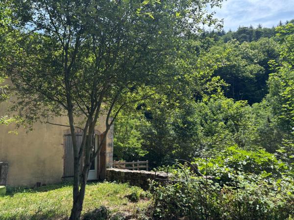 Maison en pleine nature, sur terrain boisé