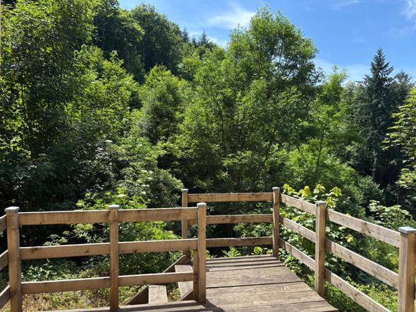 Maison en pleine nature, sur terrain boisé