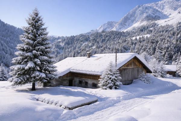 La Giettaz (73590) Chalet Authentique avec grange