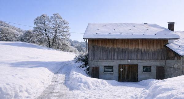 La Giettaz (73590) Chalet Authentique avec grange