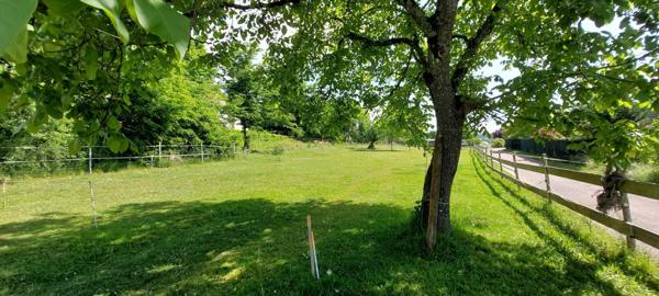 Terrain de 8 ares au cadre verdoyant et calme