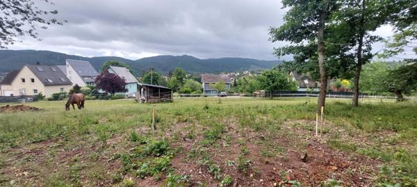 Terrain de 8 ares au cadre verdoyant et calme