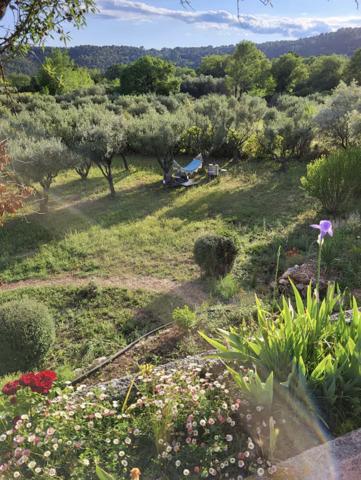 Cotignac (83570) COTIGNAC Grande propriété, 3 Bâtisses sur 3500m² de terrain arboré avec vue dégagée, idéal pour une activité