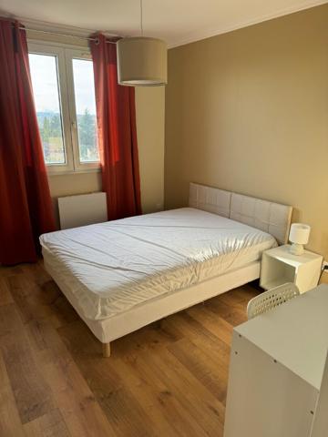 Villeurbanne T4 Meublé belle vue dégagée