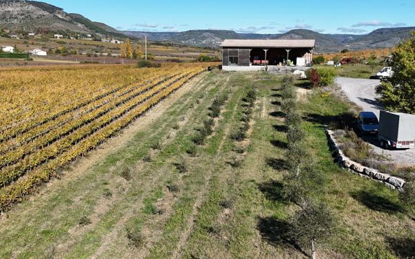 Maison à vendre    10 pièces • 340 m2 Alba-la-Romaine