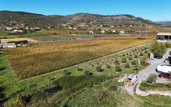 Maison à vendre    10 pièces • 340 m2 Alba-la-Romaine