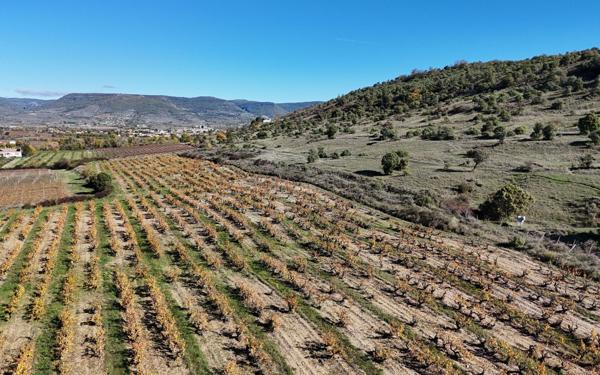 Maison à vendre    10 pièces • 340 m2 Alba-la-Romaine