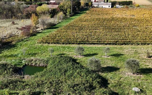 Maison à vendre    10 pièces • 340 m2 Alba-la-Romaine