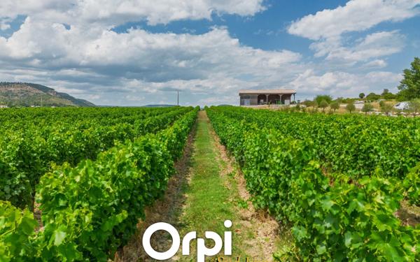 Maison à vendre    10 pièces • 340 m2 Alba-la-Romaine