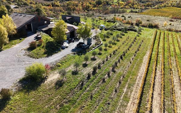 Maison à vendre    10 pièces • 340 m2 Alba-la-Romaine