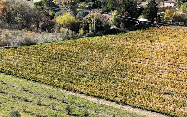 Maison à vendre    10 pièces • 340 m2 Alba-la-Romaine