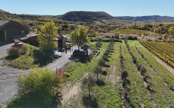 Maison à vendre    10 pièces • 340 m2 Alba-la-Romaine