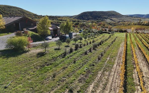 Maison à vendre    10 pièces • 340 m2 Alba-la-Romaine