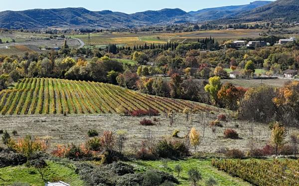 Maison à vendre    10 pièces • 340 m2 Alba-la-Romaine