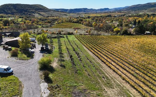 Maison à vendre    10 pièces • 340 m2 Alba-la-Romaine