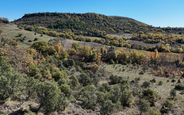 Maison à vendre    10 pièces • 340 m2 Alba-la-Romaine