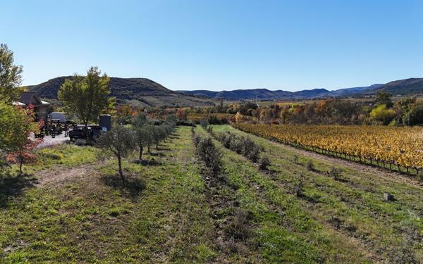 Maison à vendre    10 pièces • 340 m2 Alba-la-Romaine