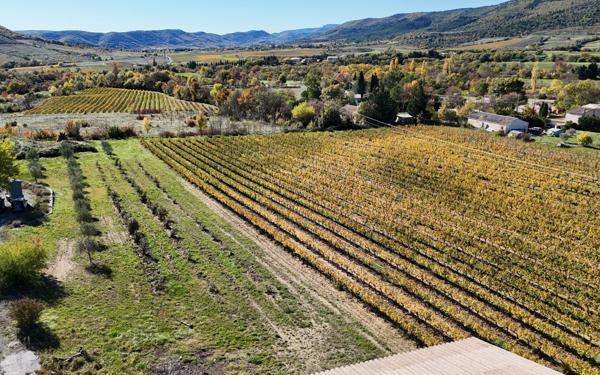 Maison à vendre    10 pièces • 340 m2 Alba-la-Romaine