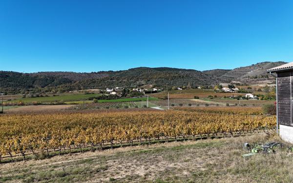 Maison à vendre    10 pièces • 340 m2 Alba-la-Romaine