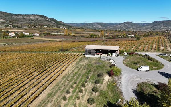 Maison à vendre    10 pièces • 340 m2 Alba-la-Romaine