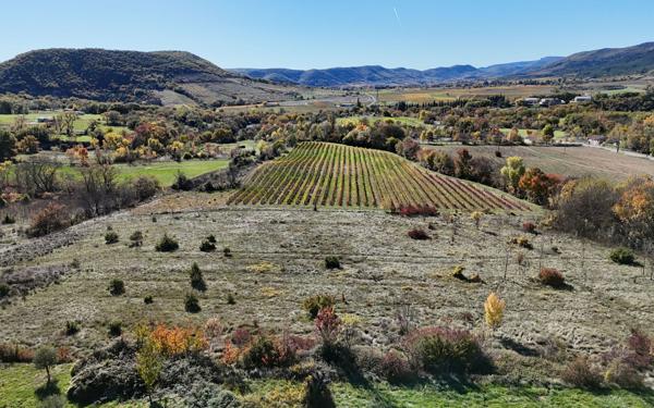 Maison à vendre    10 pièces • 340 m2 Alba-la-Romaine