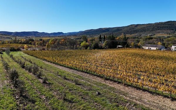 Maison à vendre    10 pièces • 340 m2 Alba-la-Romaine