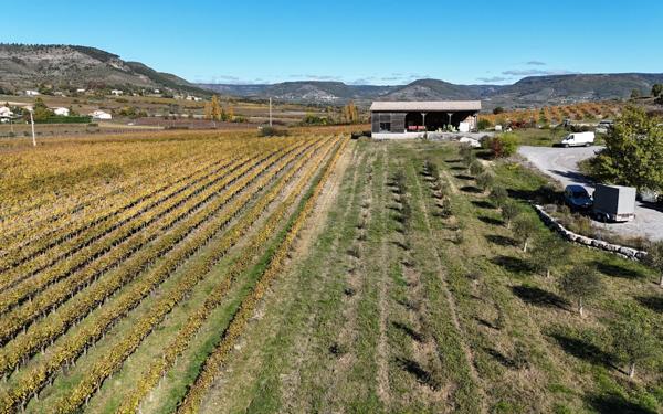 Maison à vendre    10 pièces • 340 m2 Alba-la-Romaine